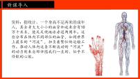 生物流动的组织—血液课文ppt课件