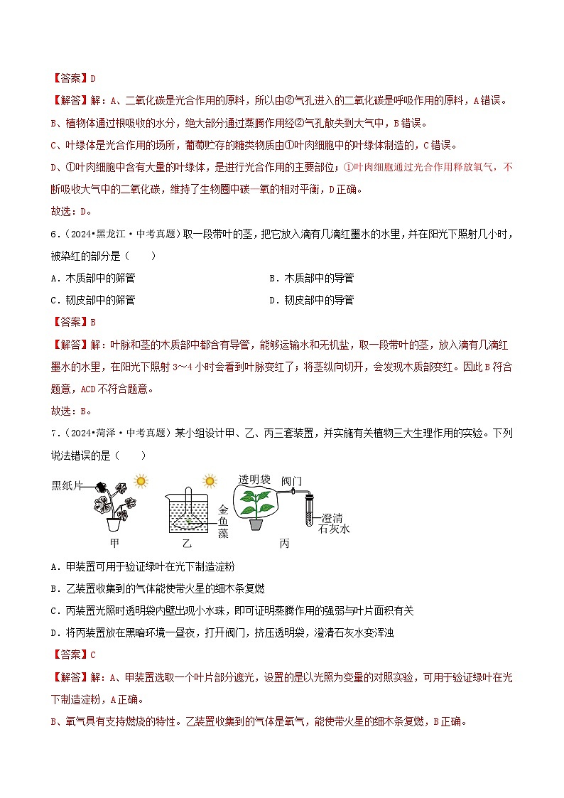 备战2025年中考生物真题分类汇编(全国通用)专题05植物的三大生理作用(第02期)(教师版)第3页