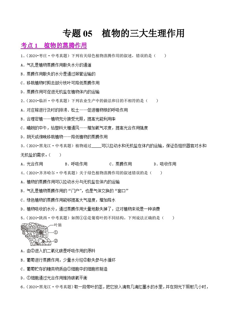 备战2025年中考生物真题分类汇编(全国通用)专题05植物的三大生理作用(第02期)(学生版)第1页