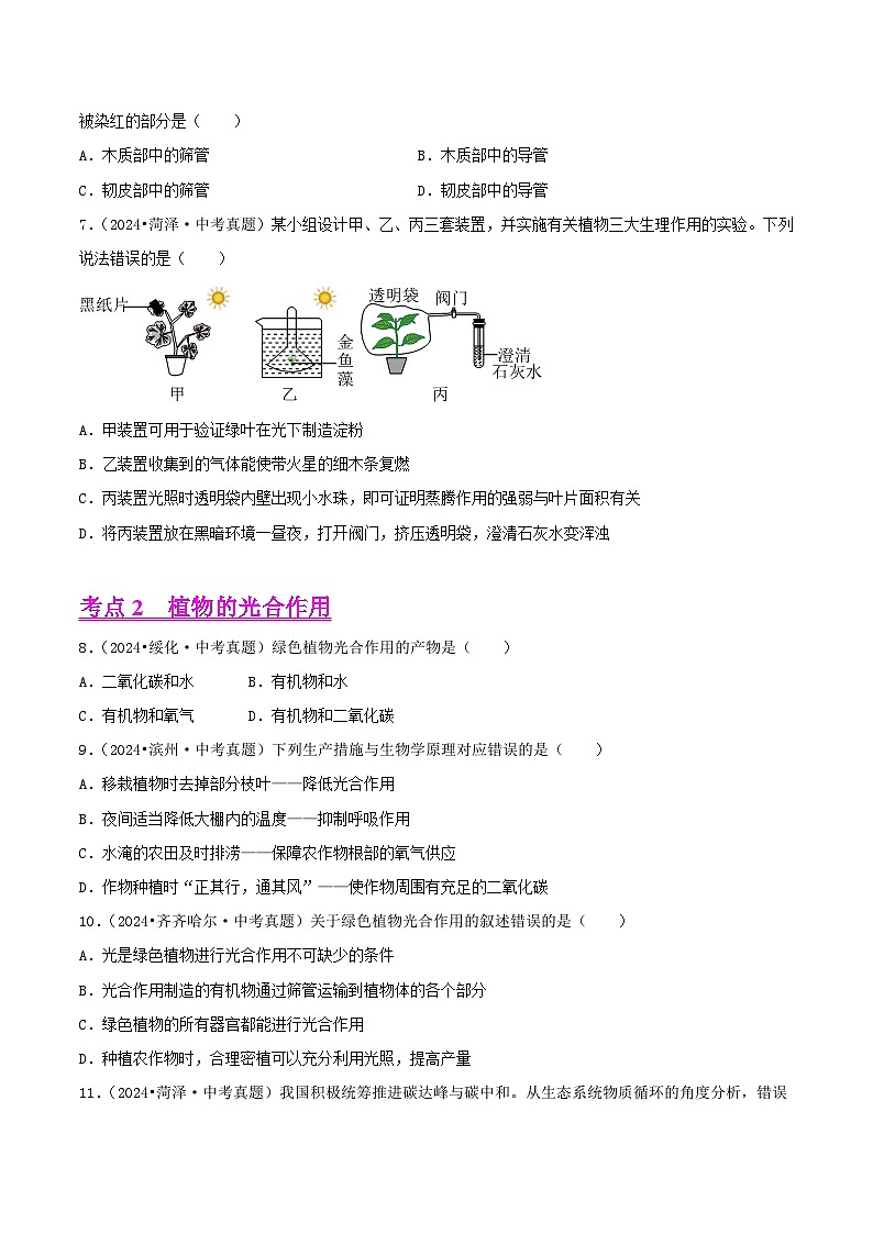 备战2025年中考生物真题分类汇编(全国通用)专题05植物的三大生理作用(第02期)(学生版)第2页