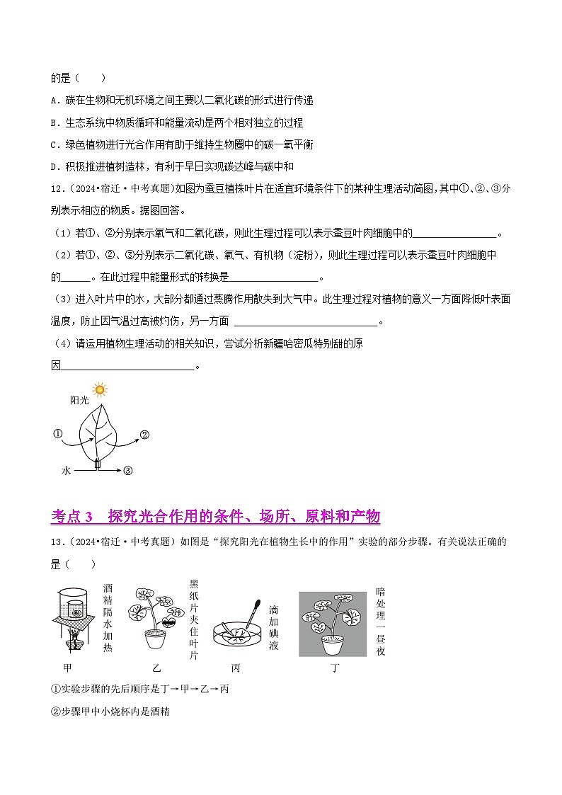 备战2025年中考生物真题分类汇编(全国通用)专题05植物的三大生理作用(第02期)(学生版)第3页