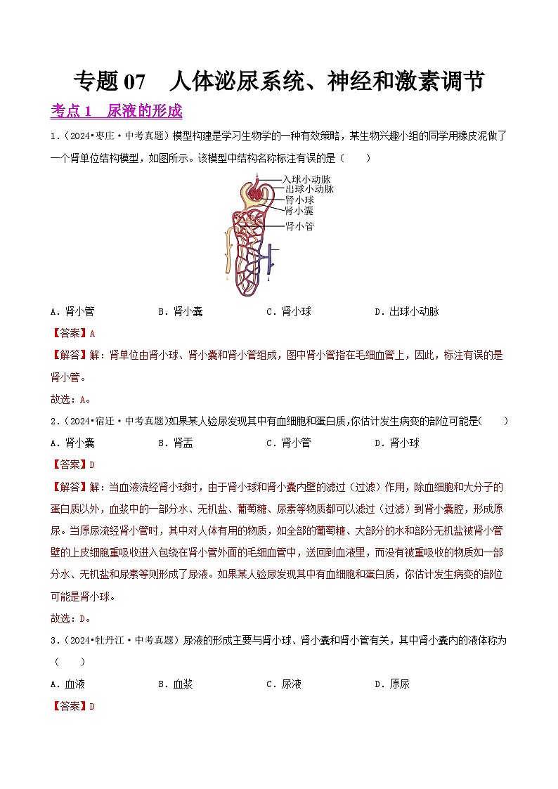 备战2025年中考生物真题分类汇编(全国通用)专题07人体泌尿系统、神经和激素调节(第02期)(教师版)第1页