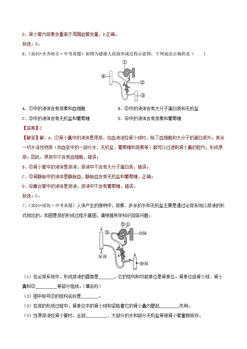 备战2025年中考生物真题分类汇编(全国通用)专题07人体泌尿系统、神经和激素调节(第02期)(教师版)第3页