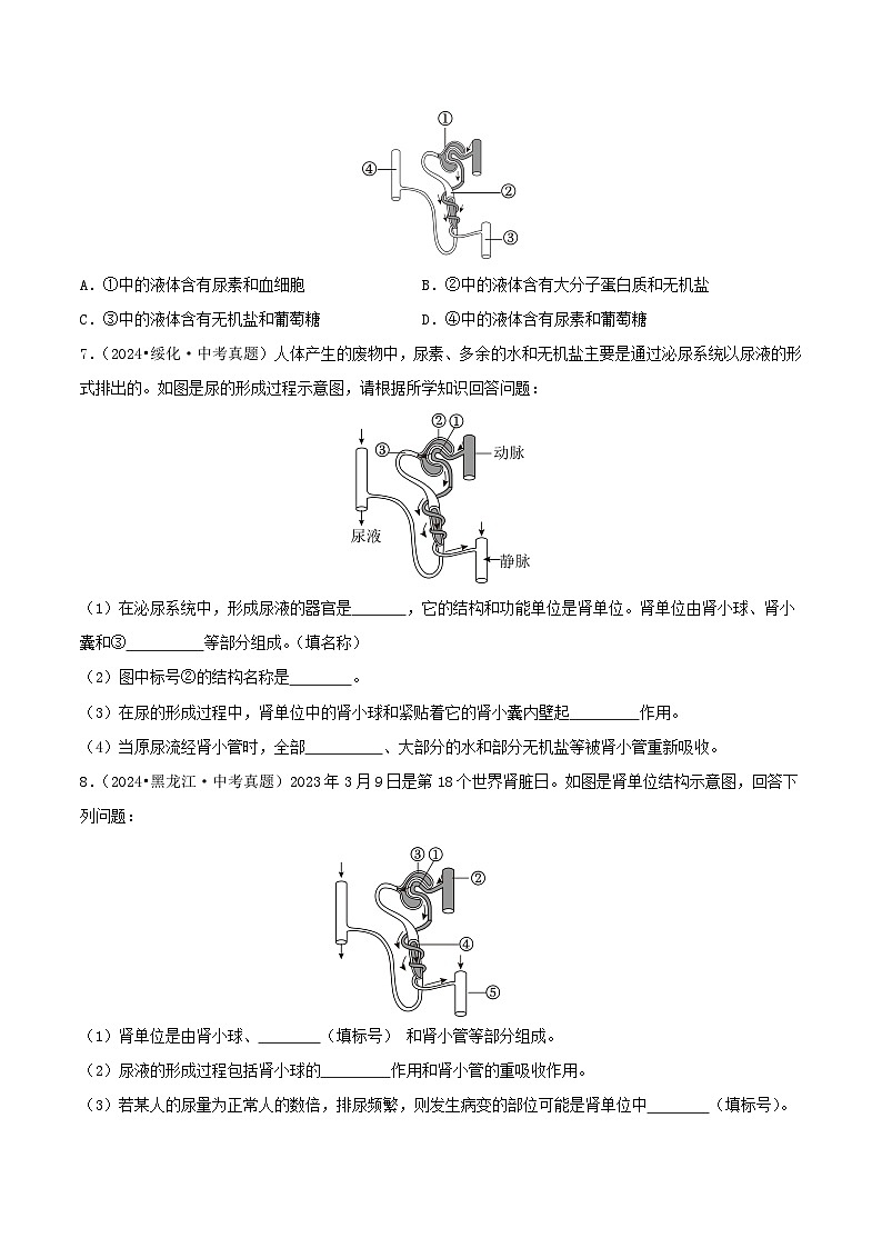 备战2025年中考生物真题分类汇编(全国通用)专题07人体泌尿系统、神经和激素调节(第02期)(学生版)第2页