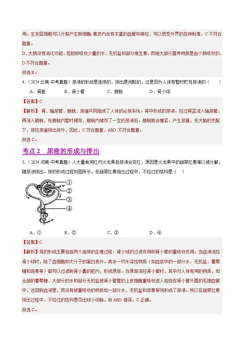 备战2025年中考生物真题分类汇编(全国通用)专题10人体内废物的排出(第01期)(教师版)第2页