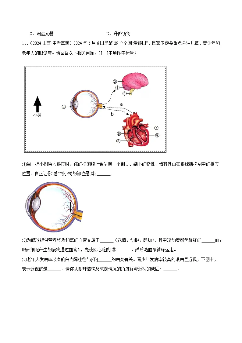 备战2025年中考生物真题分类汇编(全国通用)专题11人体生命活动的调节(第01期)(学生版)第3页