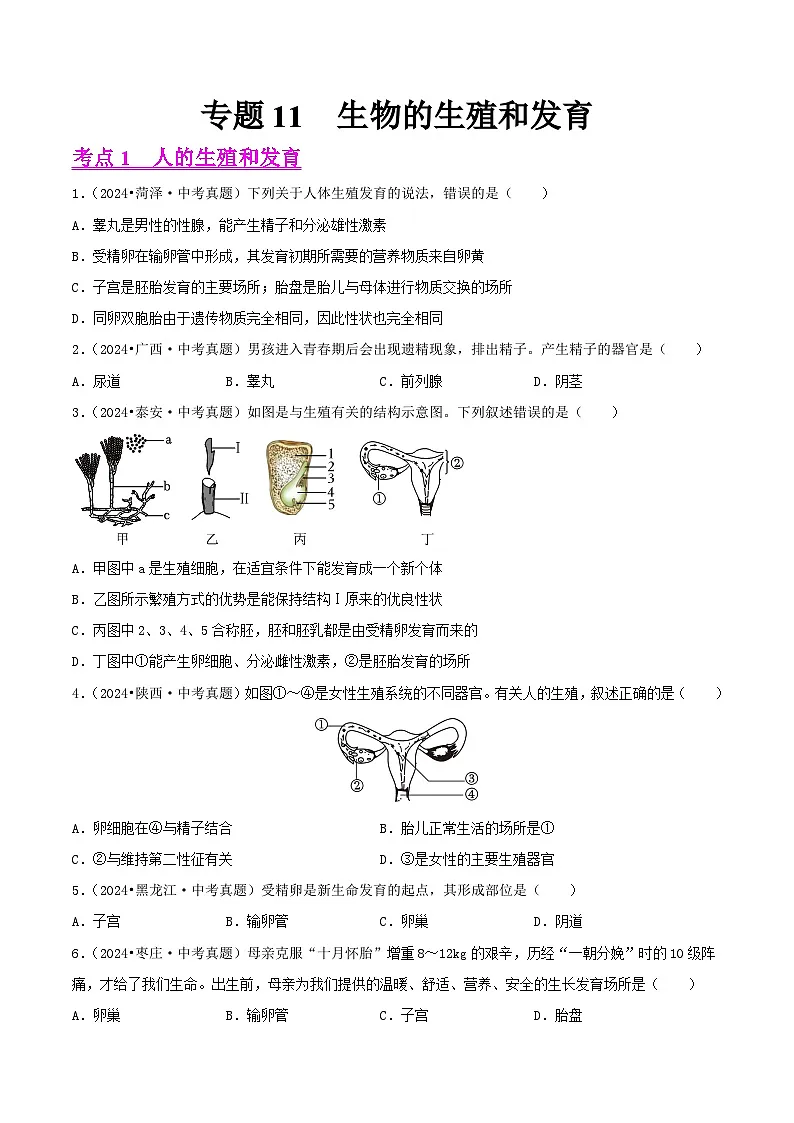 备战2025年中考生物真题分类汇编(全国通用)专题11生物的生殖和发育(第02期)(学生版)第1页