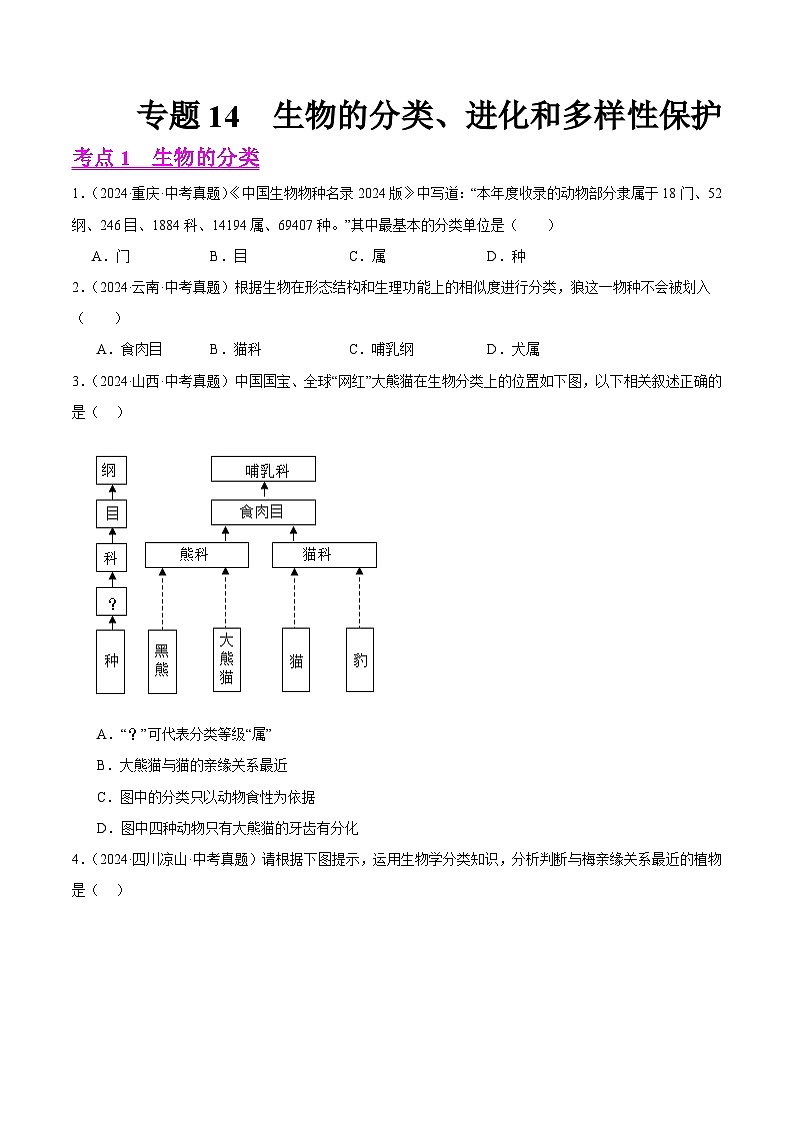 备战2025年中考生物真题分类汇编(全国通用)专题14生物的分类、进化和多样性保护(第01期)(学生版)第1页