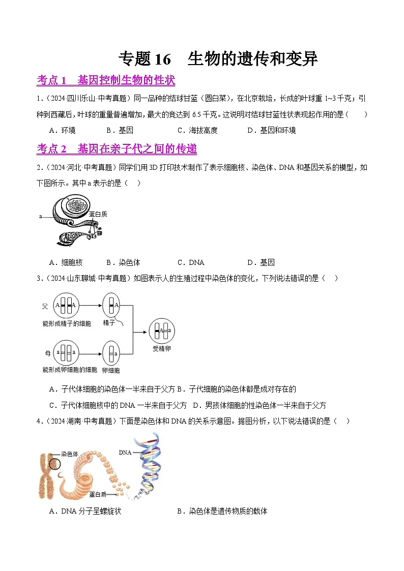 备战2025年中考生物真题分类汇编(全国通用)专题16生物的遗传和变异(第01期)(学生版)第1页