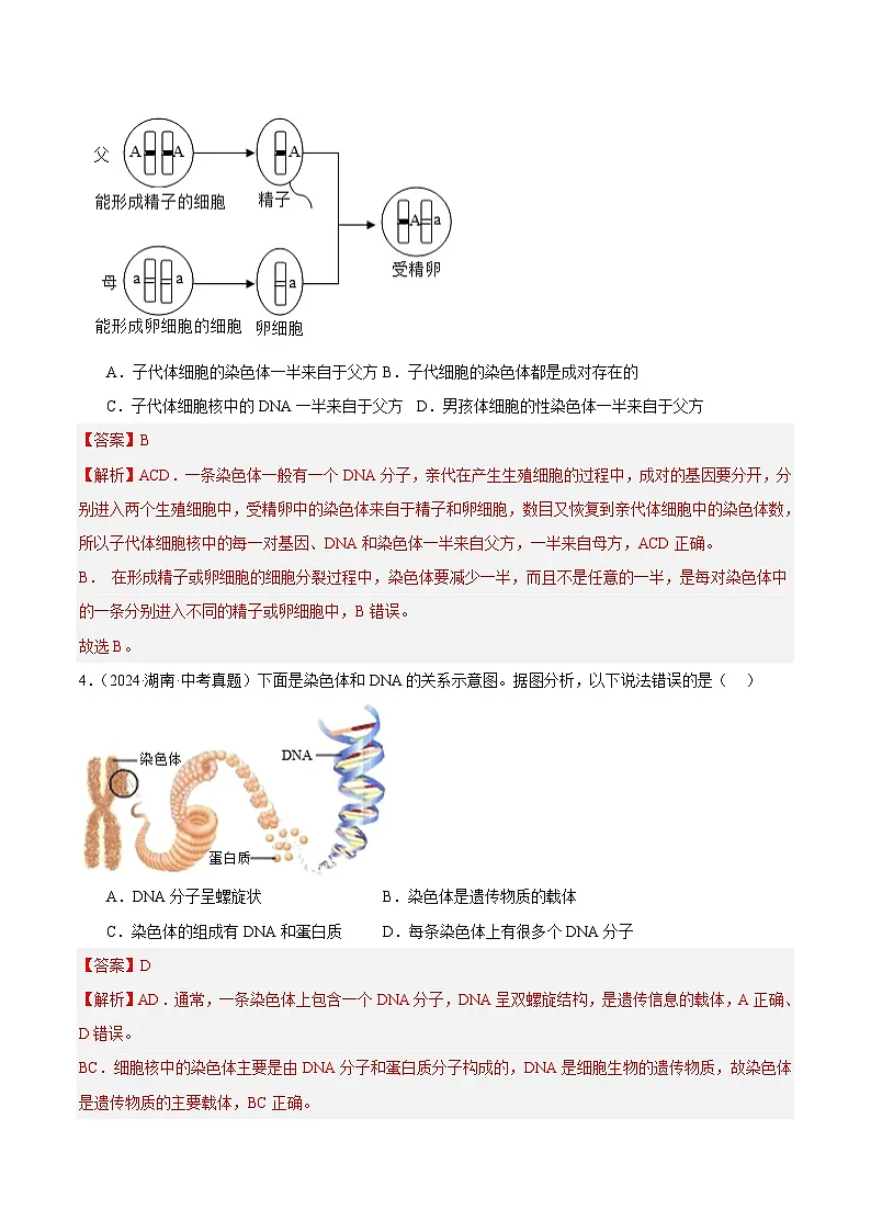 备战2025年中考生物真题分类汇编(全国通用)专题16生物的遗传和变异(第01期)(教师版)第2页