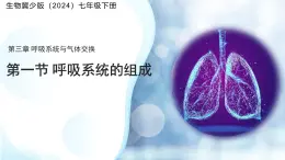 第三章第一節(jié) 呼吸系統(tǒng)的組成 課件 生物冀少版（2024）七年級下冊