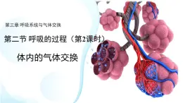 3.2.2 體內(nèi)的氣體交換 課件