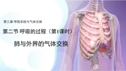 3.2.1 肺與外界的氣體交換 課件