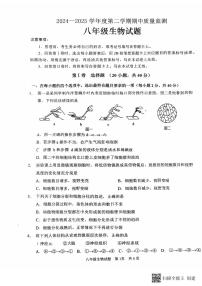枣庄市峄城区第二十八中学2024-2025年度八年级下学期期中考试生物试卷