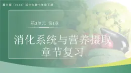 第三單元第一章 消化系統(tǒng)與營養(yǎng)攝取 章節(jié)復(fù)習(xí)課件 生物冀少版（2024）七年級下冊