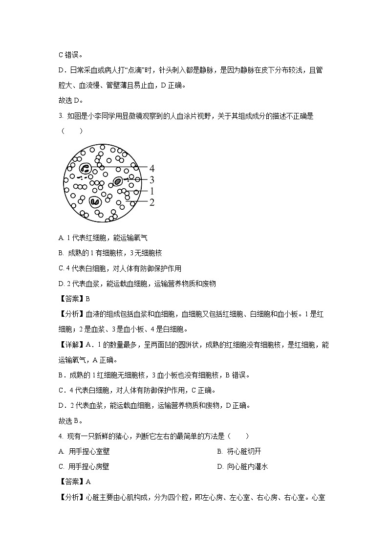江苏省徐州市丰县欢口镇2024-2025学年八年级上10月月考学生物试卷(解析版)第2页