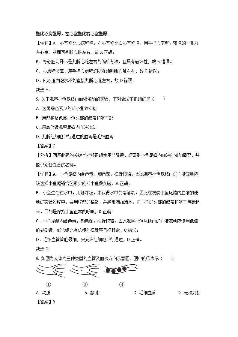 江苏省徐州市丰县欢口镇2024-2025学年八年级上10月月考学生物试卷(解析版)第3页