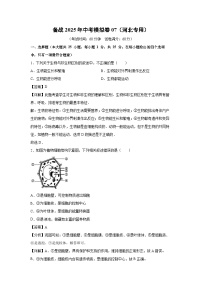 备战2025年中考模拟卷07（河北专用）生物试卷（解析版）