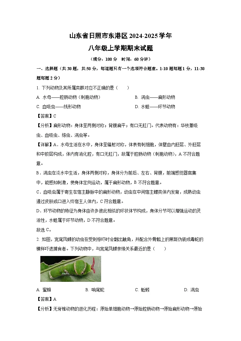 山东省日照市东港区2024-2025学年八年级上学期期末生物试卷(解析版)第1页