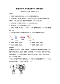 备战2025年中考模拟卷05（徐州专用）生物试卷（解析版）