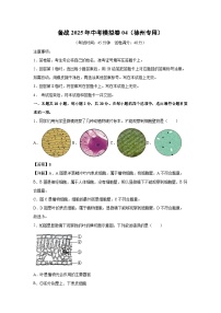 备战2025年中考模拟卷04（徐州专用）生物试卷（解析版）