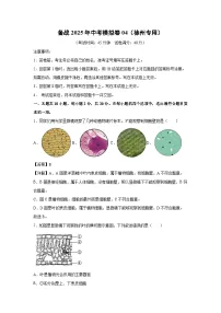 备战2025年中考模拟卷04(徐州专用)生物试卷(解析版)