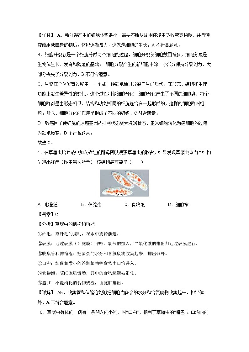 备战2025年中考模拟卷04(全国版)生物试卷(解析版)第3页