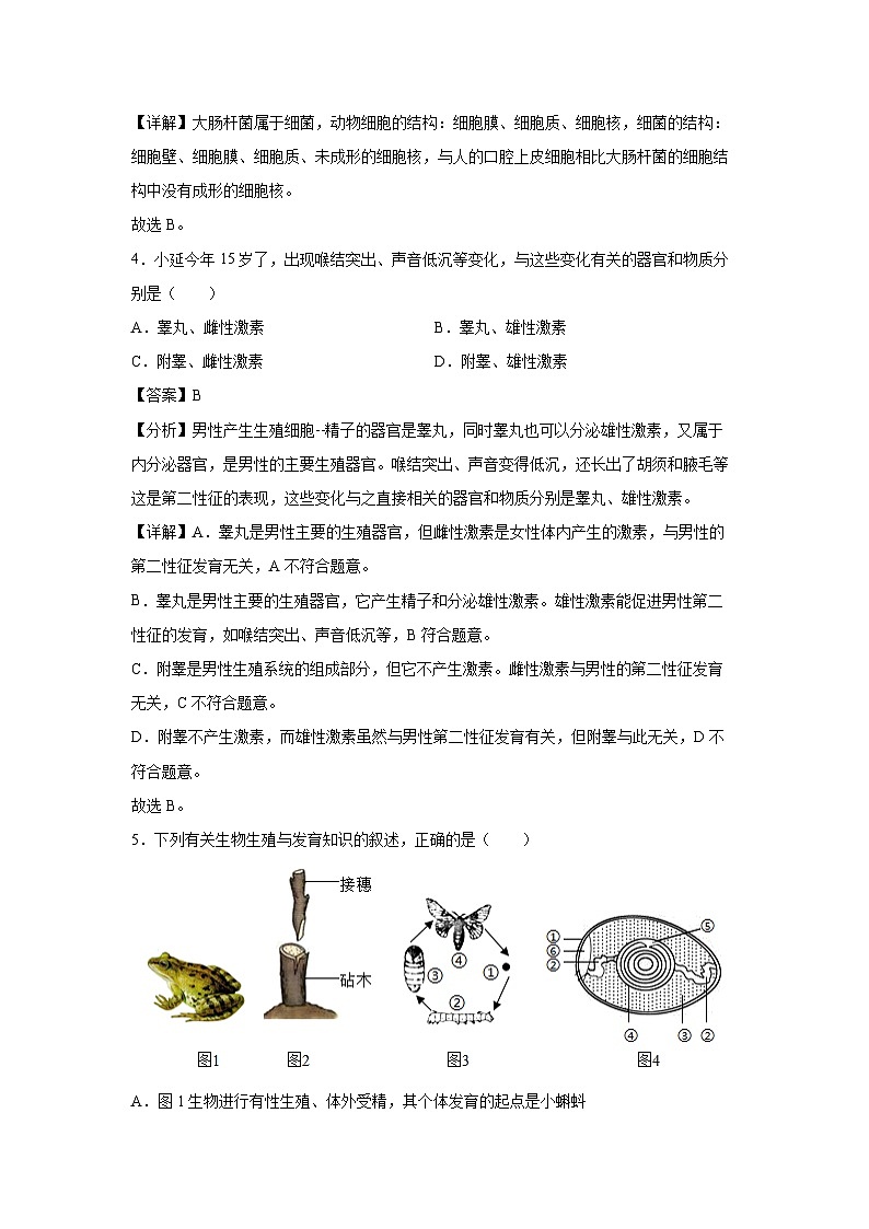 2025年中考第一次模拟考试(西藏卷)生物试卷(解析版)第3页