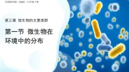 3.3.1 微生物在環(huán)境中的分布 課件 生物魯科版（2024）六年級下冊