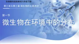 3.3.1 微生物在環(huán)境中的分布 PPT 生物魯科版（2024）六年級下冊