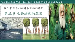 7.3.3 生物進化的原因 課件