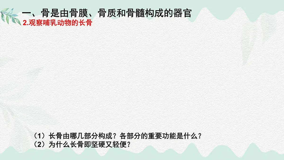 4.11.1 人体的骨骼(课件)2025学年七年级生物下册北师大版第4页