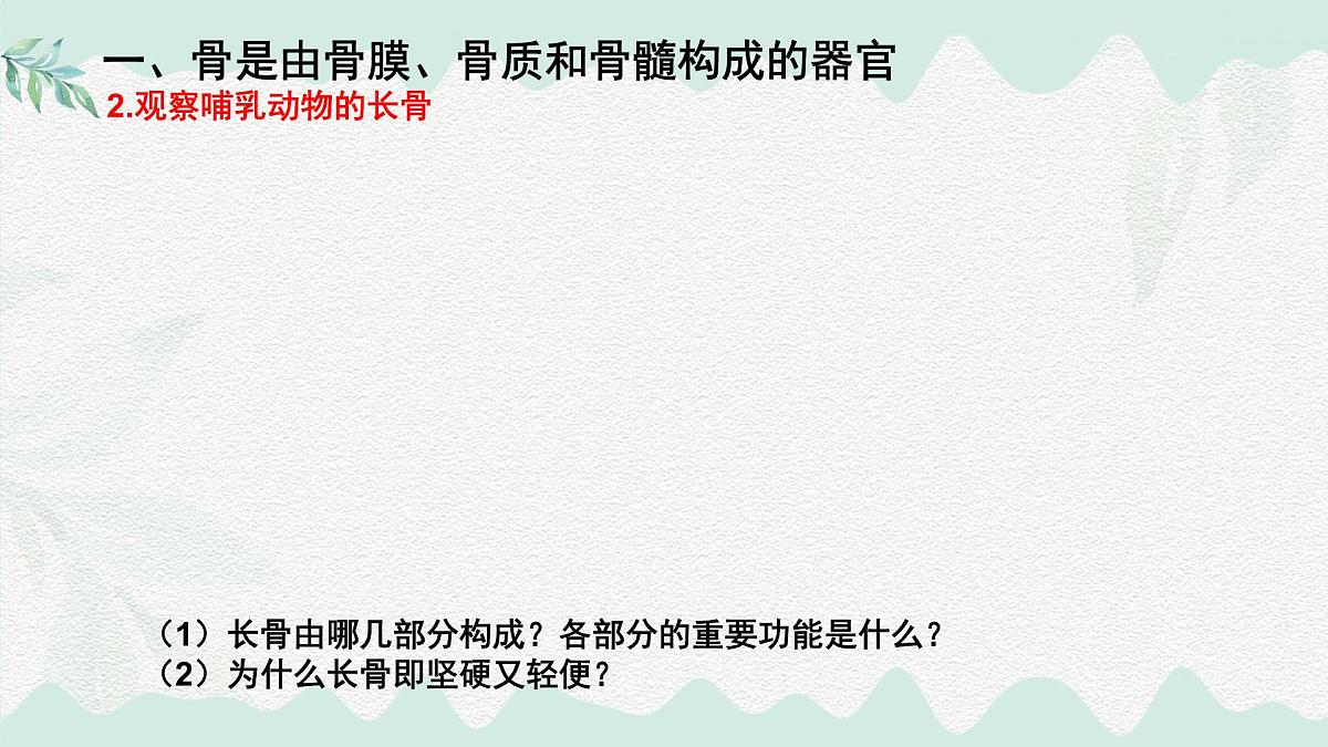 4.11.1 人体的骨骼(课件)2025学年七年级生物下册北师大版第4页