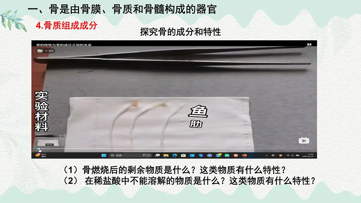 4.11.1 人体的骨骼(课件)2025学年七年级生物下册北师大版第7页