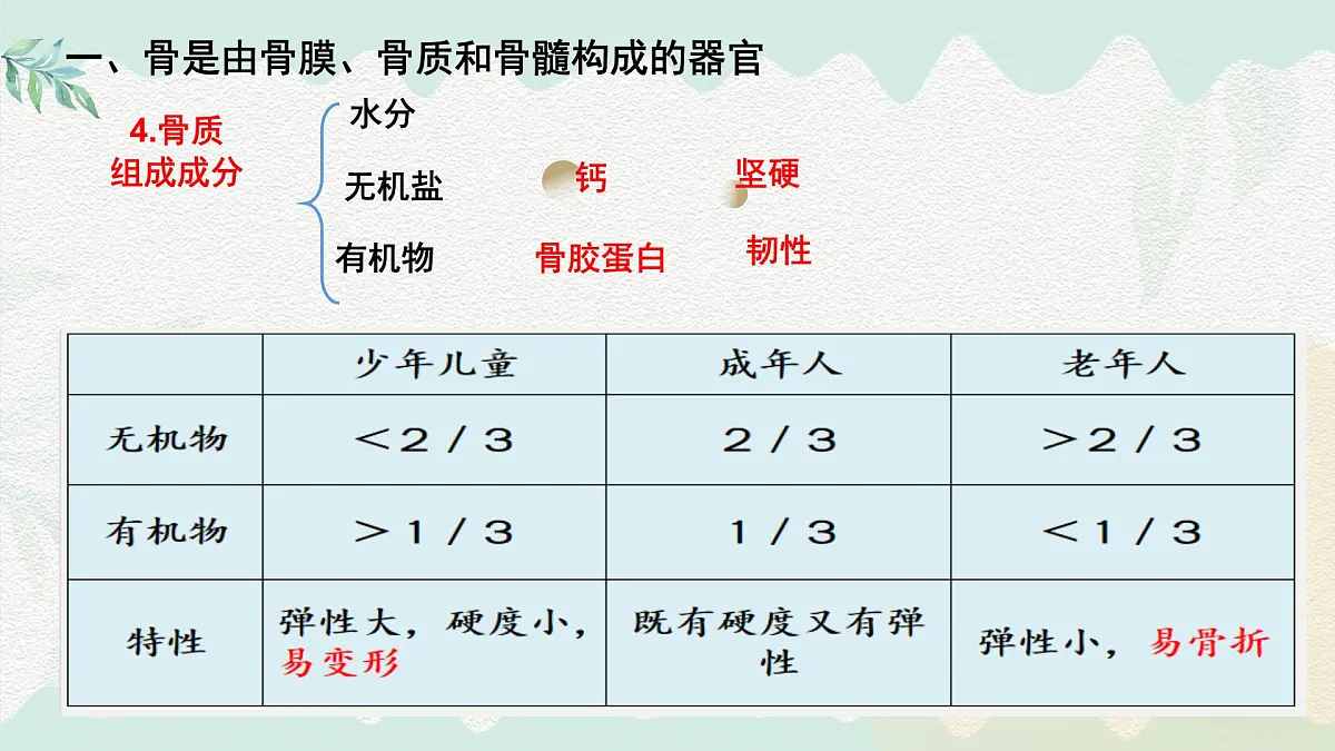 4.11.1 人体的骨骼(课件)2025学年七年级生物下册北师大版第8页