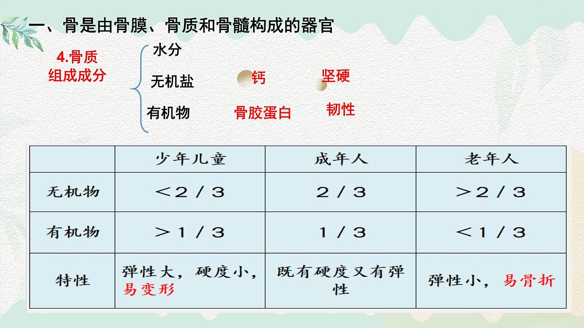 4.11.1 人体的骨骼(课件)2025学年七年级生物下册北师大版第8页