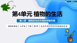4.11.3 光合作用和呼吸作用原理的应用（教学课件）2025学年七年级生物下册苏教版