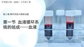生物七年级下册（2024）血液背景图ppt课件