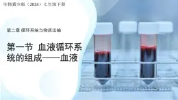 3.2.1.1 血液循環(huán)系統(tǒng)的組成——血液 課件 生物冀少版（2024）七年級下冊（2024）第三單元第二章