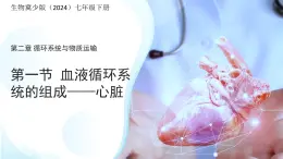 3.2.1.3血液循環(huán)系統(tǒng)的組成——心臟 課件 生物冀少版（2024）七年級下冊（2024）第三單元第二章