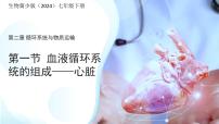 冀少版（2024）七年级下册（2024）心脏说课课件ppt
