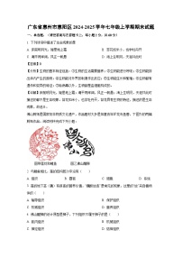 广东省惠州市惠阳区2024-2025学年七年级上学期期末生物试卷（解析版）