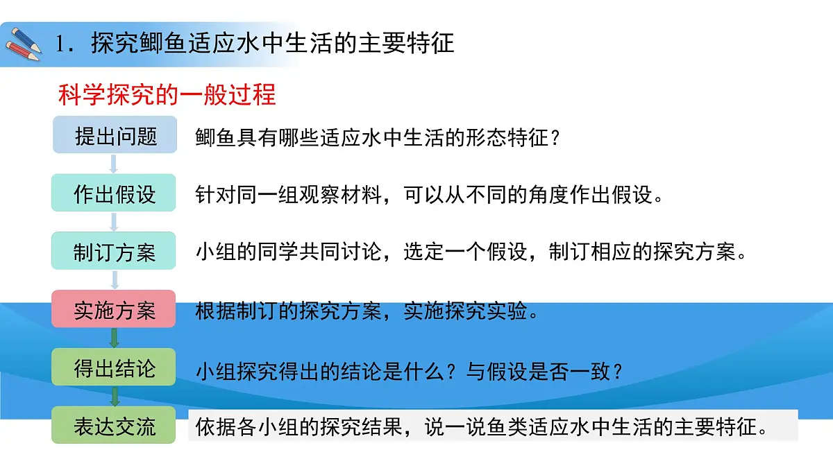 4.8.2 脊椎动物 第一课时 课件 生物苏科版(2024)七年级下册第四单元第八章第7页