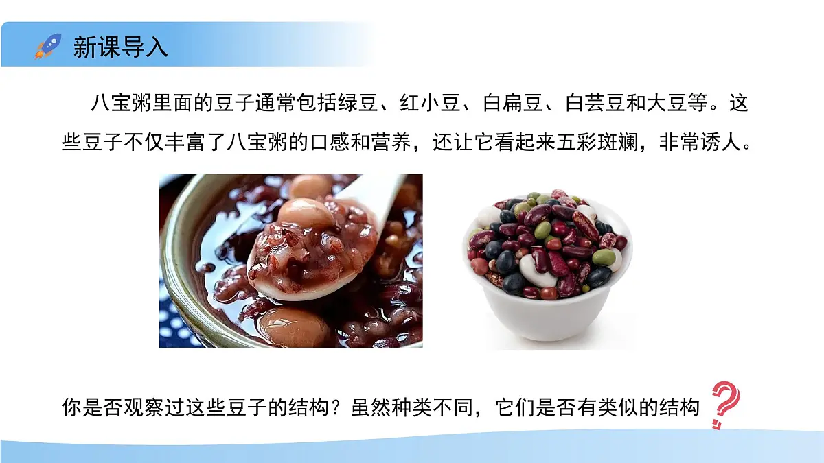 5.11.1 种子的萌发 第一课时 课件 生物苏科版(2024)七年级下册第五单元第十一章第3页