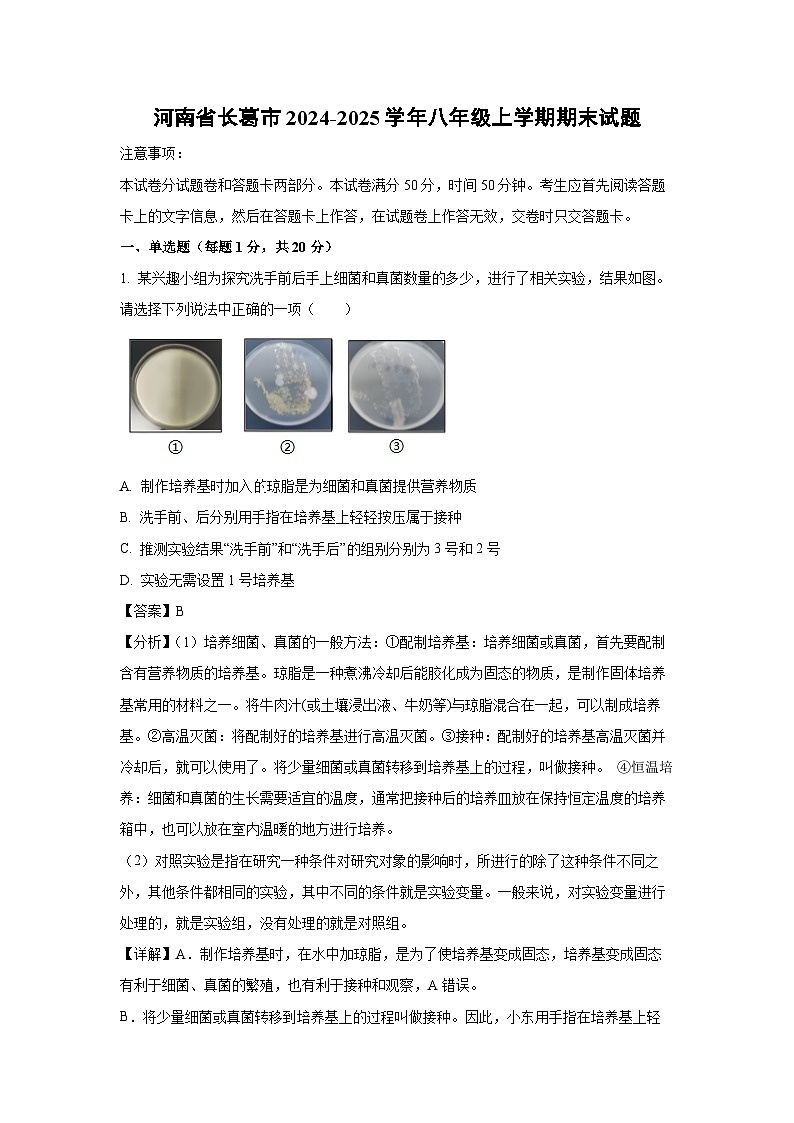河南省长葛市2024-2025学年八年级上学期期末生物试卷(解析版)第1页