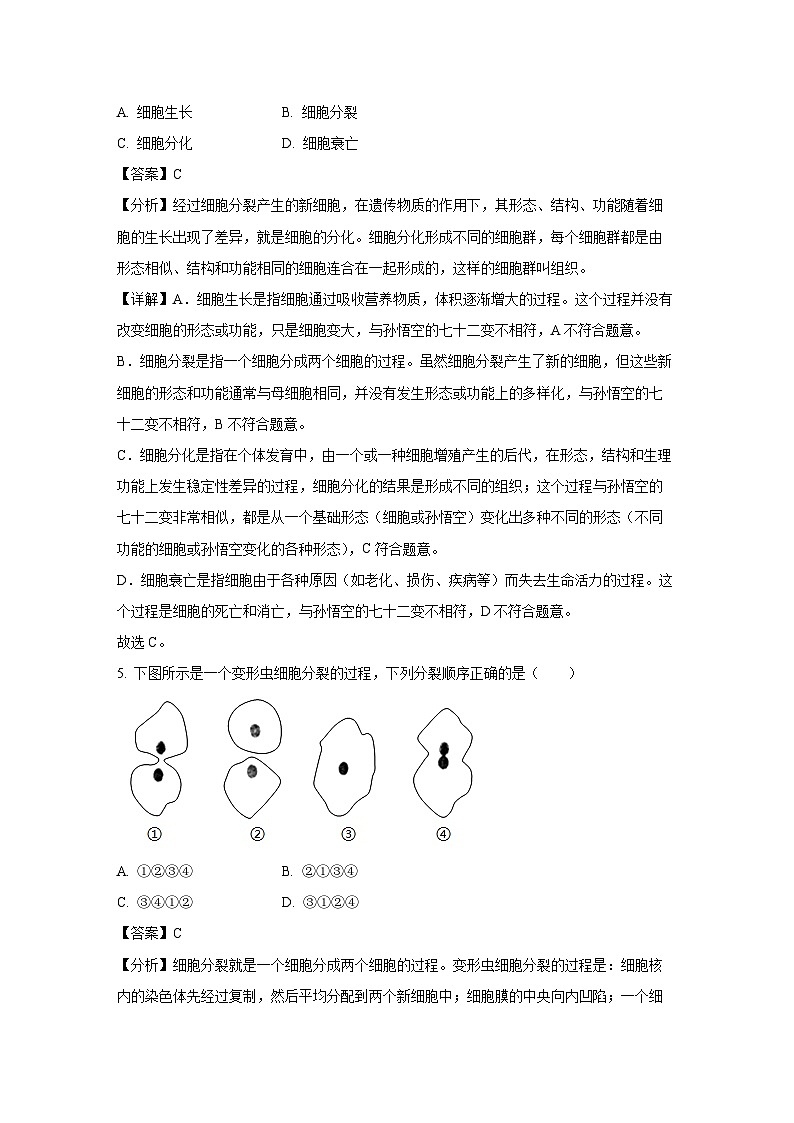 河南省周口市太康县2024-2025学年七年级上学期期末生物试卷(解析版)第3页