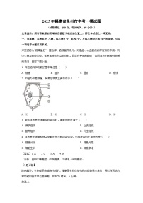 2025年福建省泉州市中考一模生物试卷(解析版)