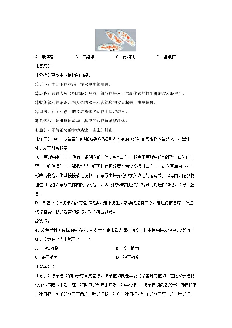 2025年中考第一次模拟考试(北京卷)生物试卷(解析版)第3页