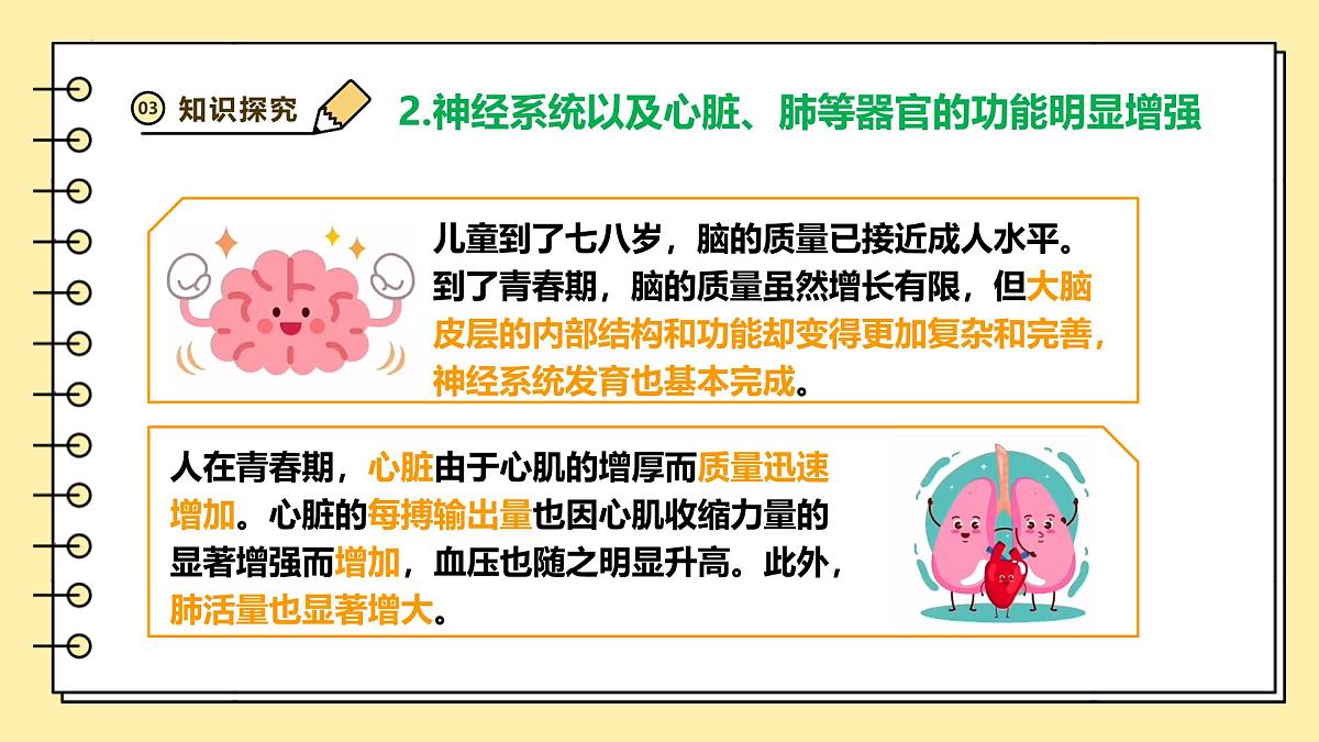 4.1.2 青春期 课件 2025学年人教版生物七年级下册第8页