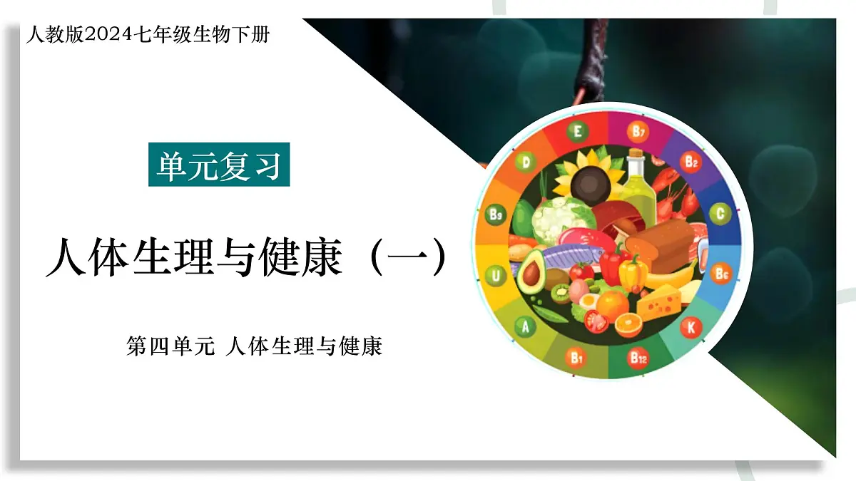 第四单元 人体生理与健康(一)(复习课件)-2024-2025学年七年级生物下册(人教版2024)第1页